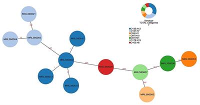 Molecular characterization and phylogeny of Shiga toxin-producing Escherichia coli derived from cattle farm